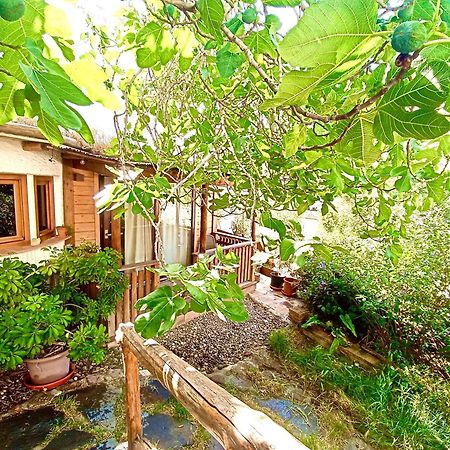 El Encanto Monachil Luaran gambar