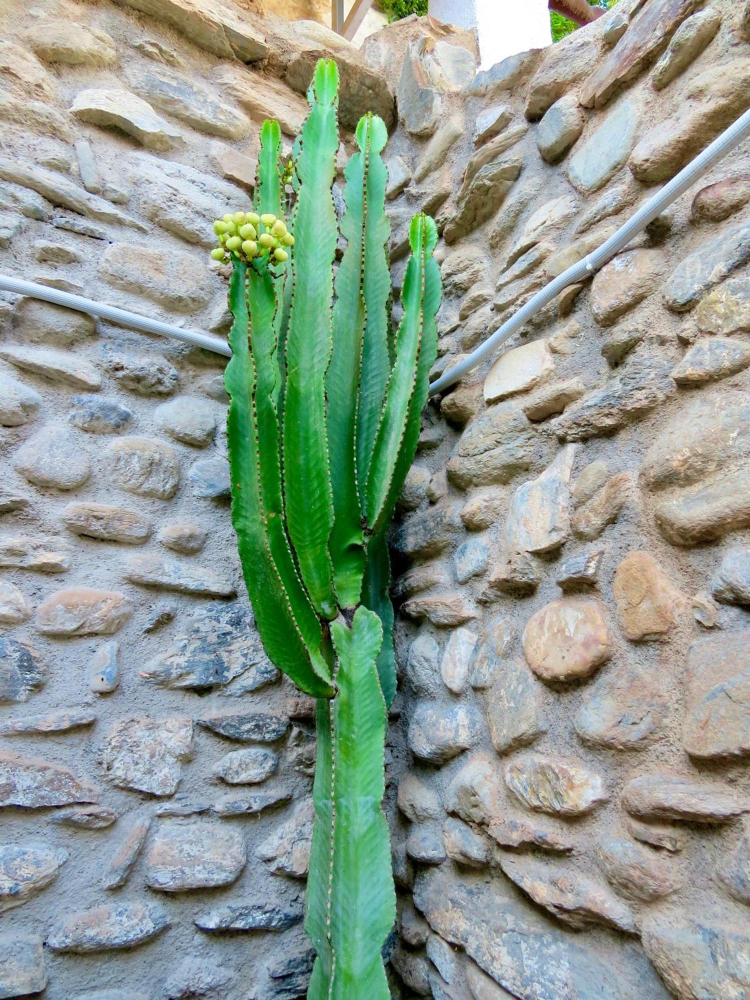 El Encanto Monachil Luaran gambar